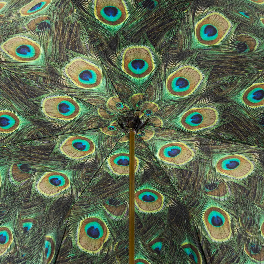 Pasotti interno ombrello piuma di pavone.
