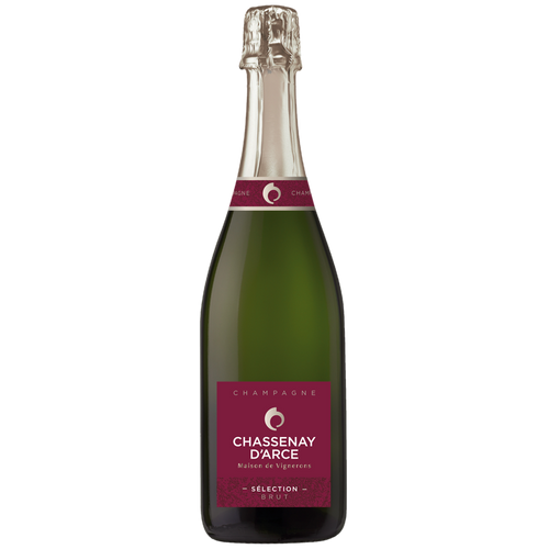 Bottiglia di champagne Chassenay D'Arco. Maison Luxure